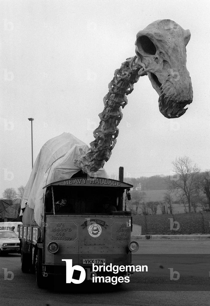 Dinosaur Skeleton being transported from pinewood studios to manchester on the M1 motorway. the Dinosaur used in the walt disney film 