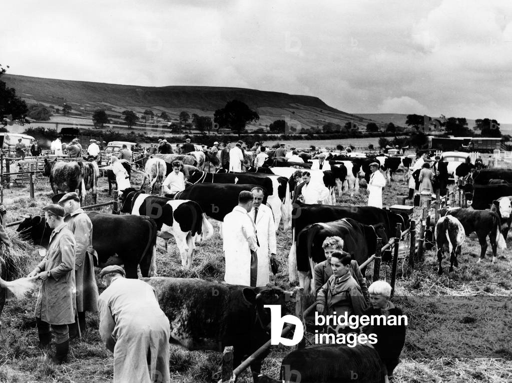 Agricultural Show Danby, North Yorkshire, 17th August 1961 (b/w photo)