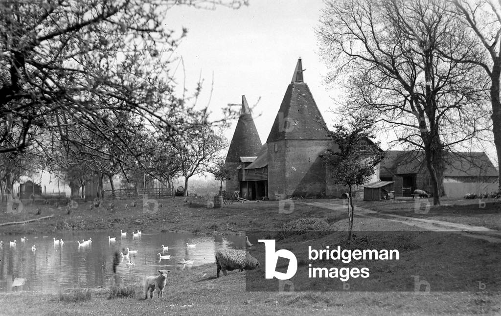 General view of a farm near Ashford in Kent, April 1932