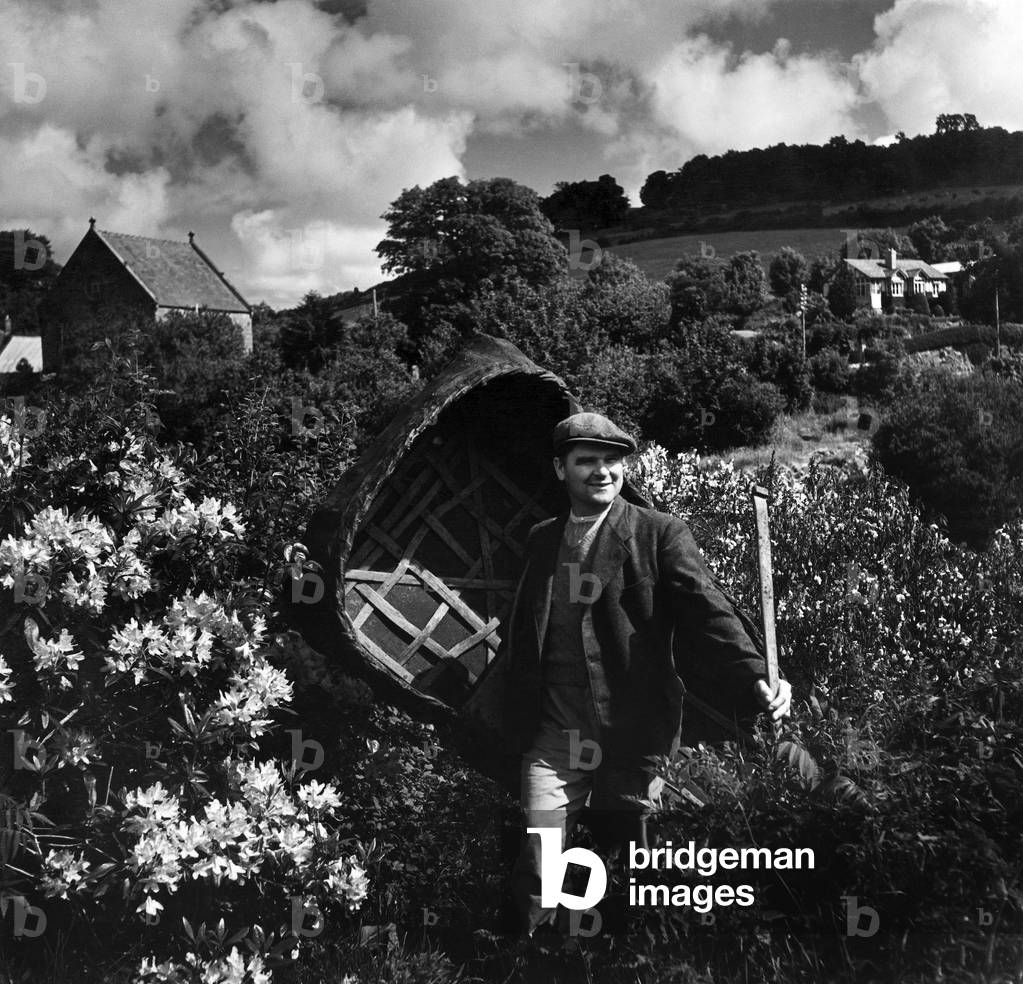 William Jones off fishing for salmon with his coracle. c. 1960 (b/w photo)