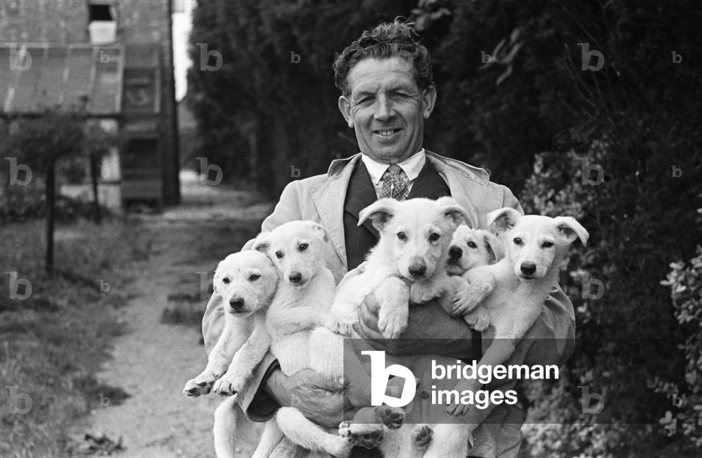 A man holding five puppies at a pet farm in Ipswich, Suffolk, c. 1945 (b/w photo)