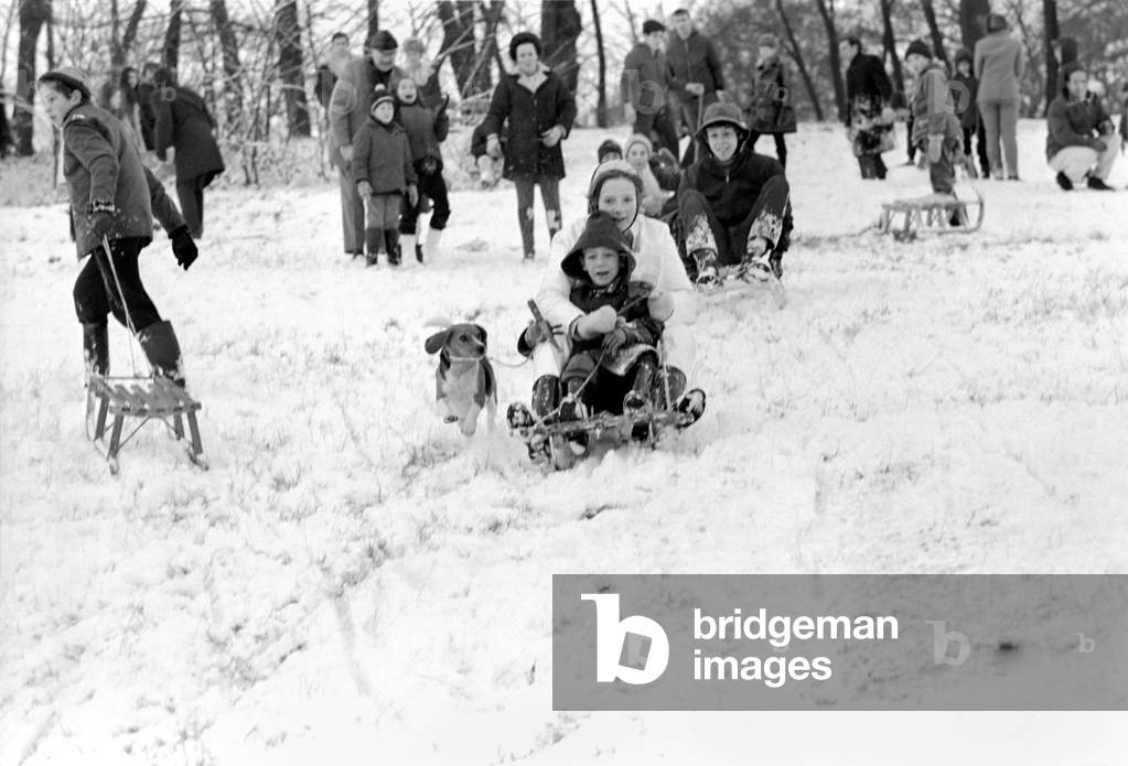 Weather snow scenes at Hampstead Heath. Winter: Even the little dog loves the thrill of the toboggan run, on the slopess at Hampstead Heathh today. November 1969