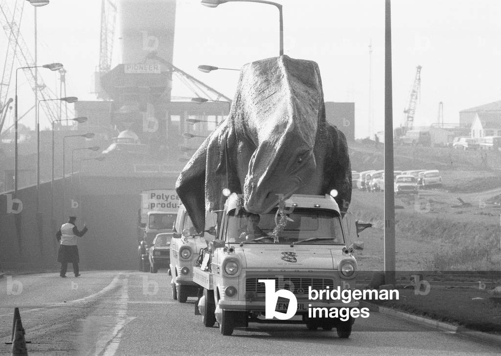 A dinosaur on the move in Essex. January 1973