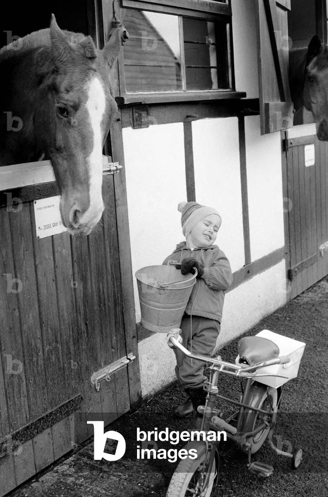 Mrs. Jill Gibbs looking at two ponies, January 1975