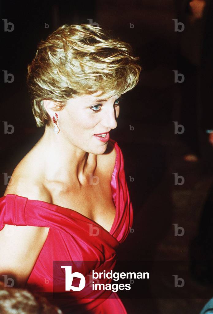 Princess Diana in Japan November 1990