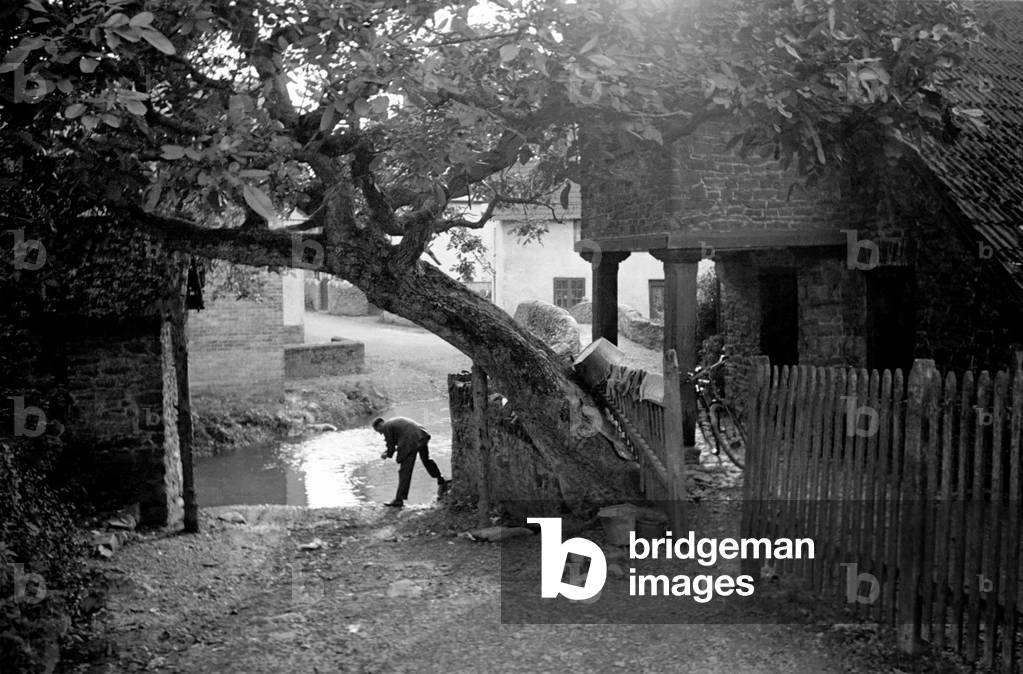 Rural Scenes. August 1936 OL302C
