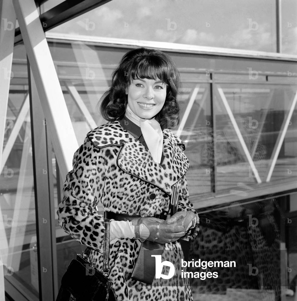 Actress Anne Heywood, arrived at Heathrow Airport today from Geneva. Anne will be presented to the Queen at the Royal film performance of 