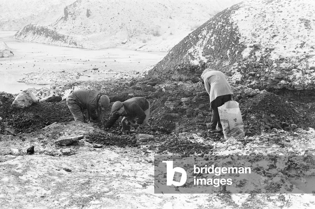 Scavenging for Coal, Hednesford, Staffordshire, Monday 31st January 1972 (b/w photo)