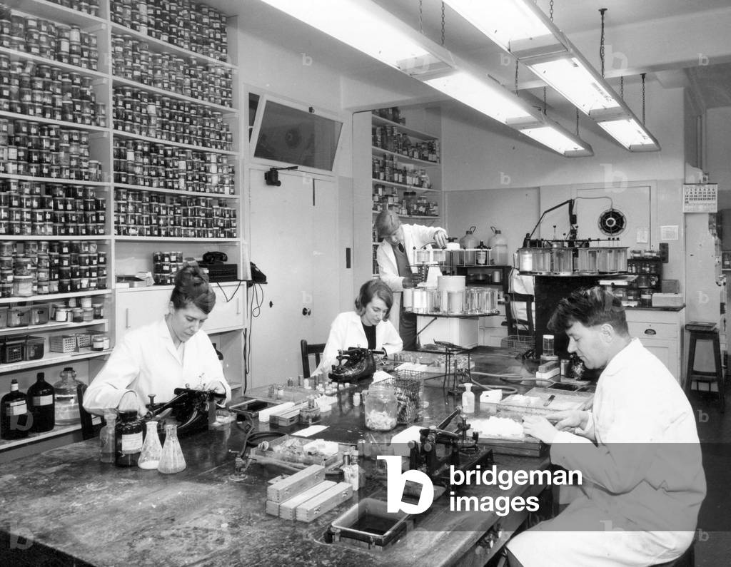 A view of the Histology Department of the Cardiff Royal Infirmary. February 1966 (b/w photo)
