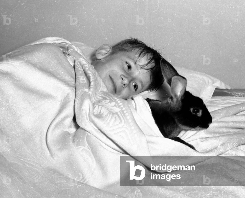 Bernard Alfieri Jnr. Boy with his pet rabbit in his bed.
20th July 1934