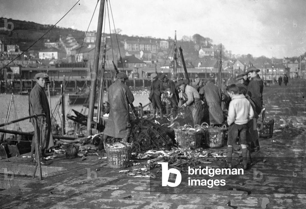 Alfieri Snr. Mackerel Fishing at Newlyn, Cornwall. Lowestoft Drifter empties its nets, 1st January 1923