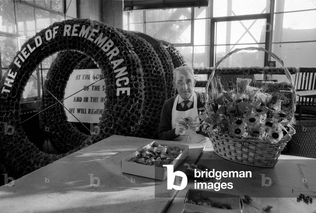 Industry: Factories: Flowers: Pictures taken at poppy factory in Petersham Road, Richmond. November 1969