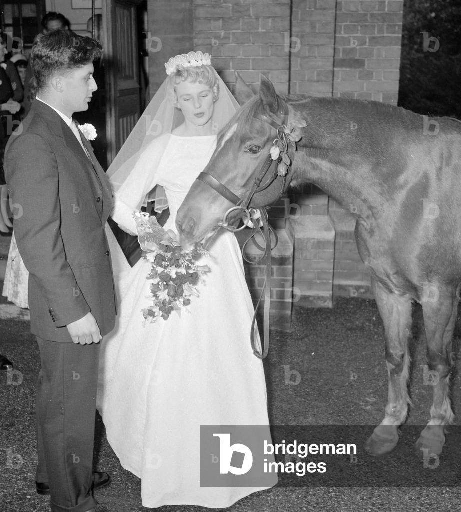 The guest of honour at a wedding in Pinner was a horse, 31st October 1959 (b/w photo)