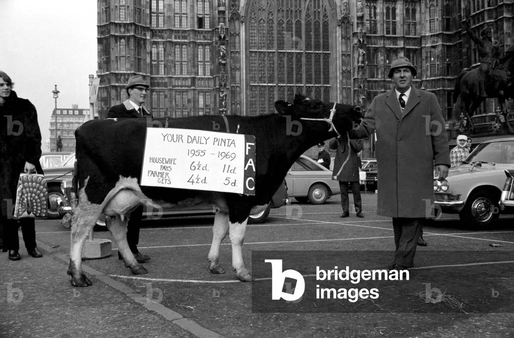 Farmers this afternoon were at the House of Commons to protest over their grievances about the price they obtain for fresh milk, 16th December 1969 (b/w photo)