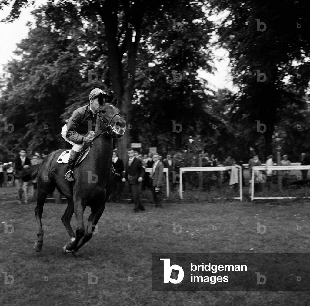 Racing at Windsor race course. Lester Piggott rides again after a two month suspension. 30th July 1962.