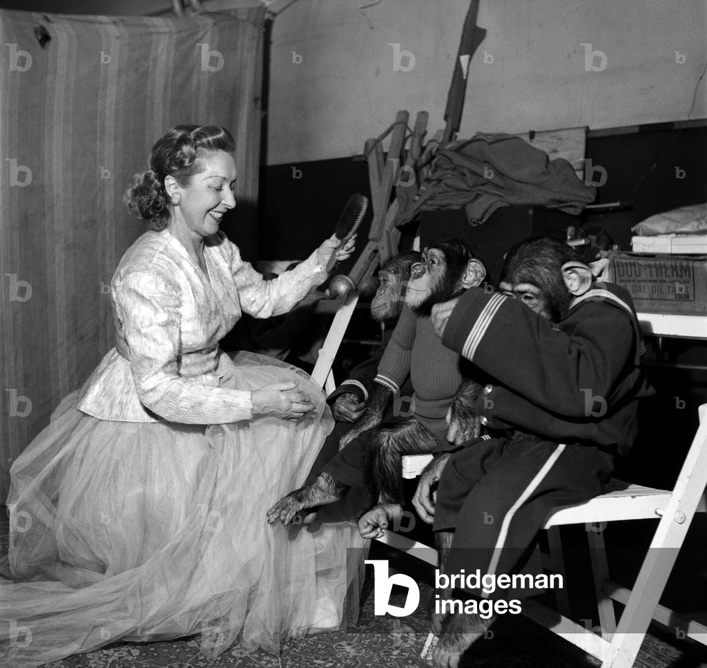 Rosita Smith with Chimps and 