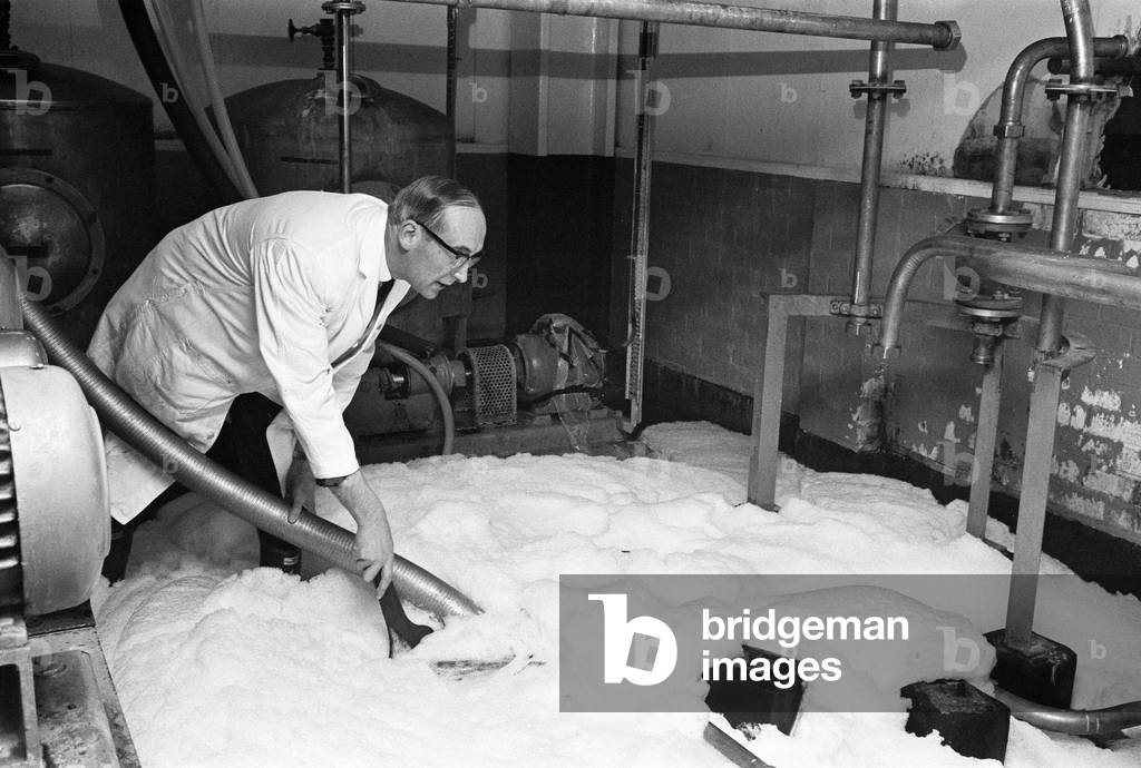 A workman at Ansells Brewery in Birmingham, pouring half a million pints of Pale Ale down the drain due to an industrial dispute. 16th February 1968 (b/w photo)