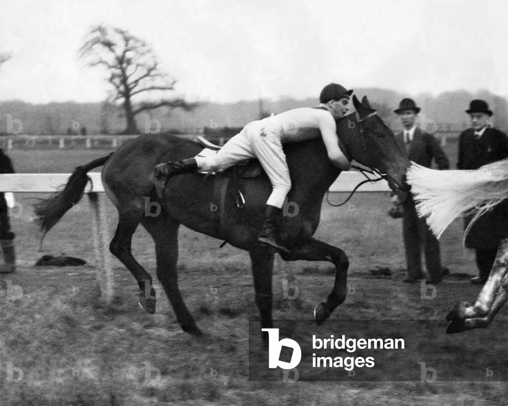 He earned a cheer from the crowd. Twice Bruno 11, unseated his jockey J Power in the St Helens 'chase. . November 1949 (b/w photo)