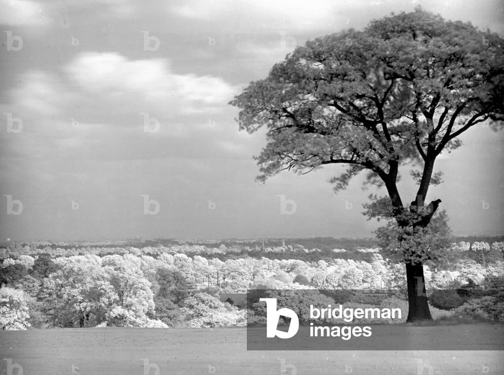 The view of Teddington from Surbiton Golf Club October 1933