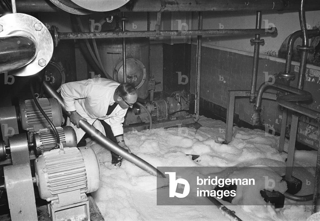 A workman at Ansells Brewery in Birmingham, pouring half a million pints of Pale Ale down the drain due to an industrial dispute. 16th February 1968 (b/w photo)