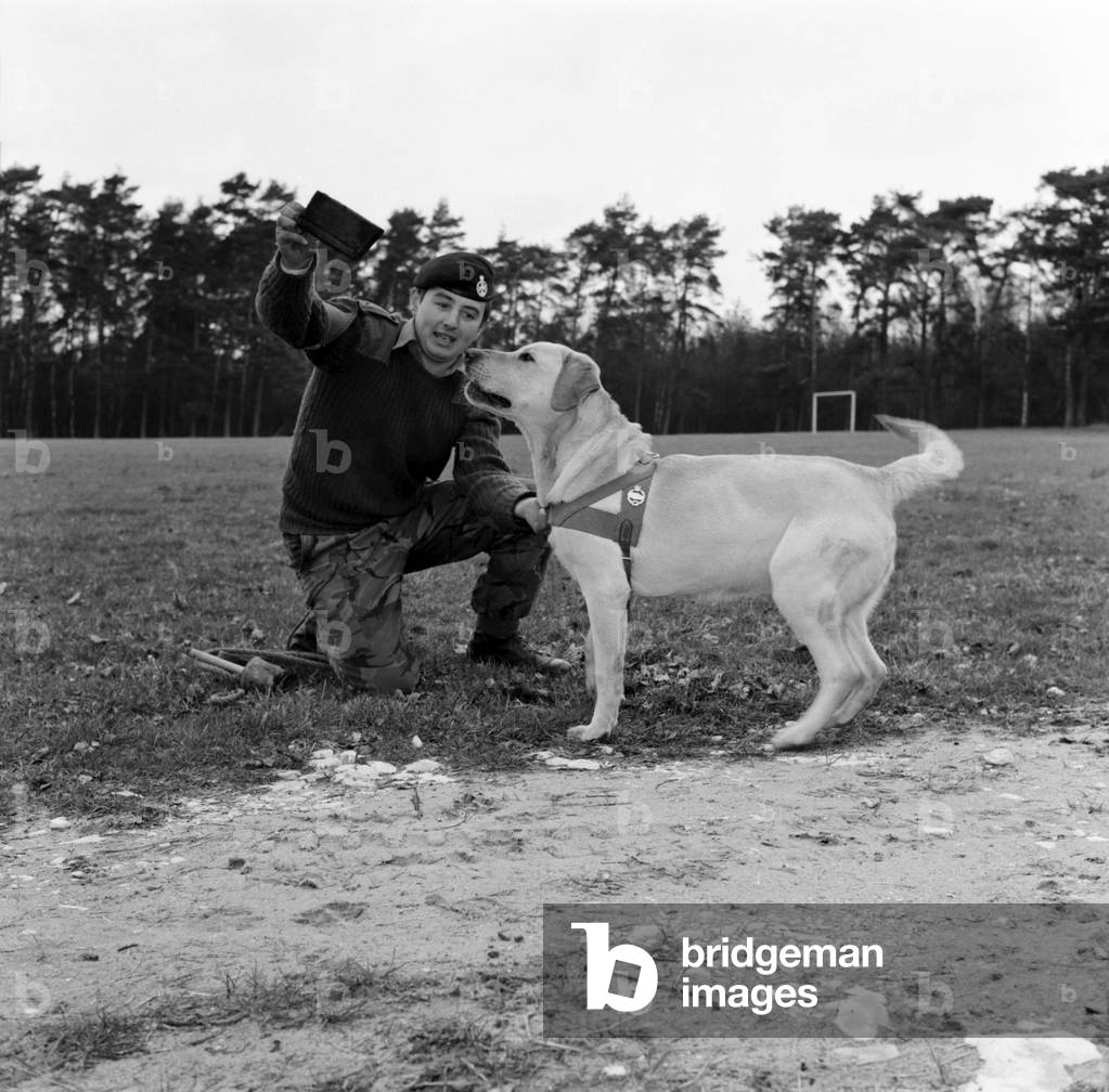 Jasper the army sniffer dog, April 1975 (b/w photo)