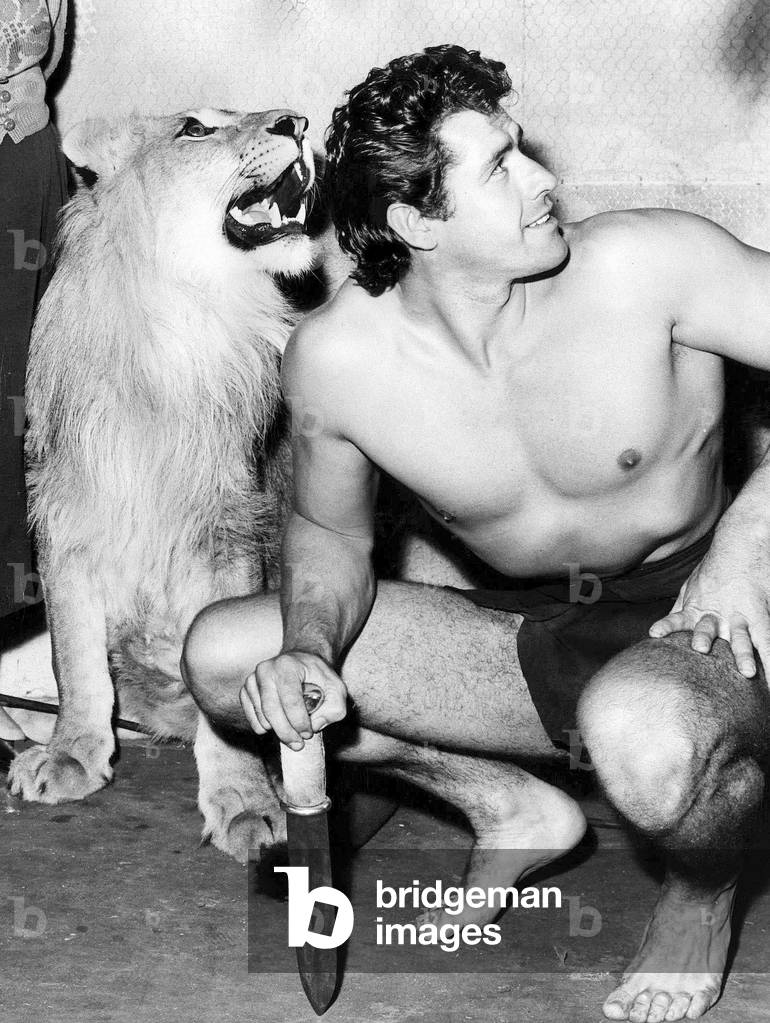 Gordon Scott actor who stars as Tarzan with Numa the Lion at Elstree Studios November 1955 (b/w photo)
