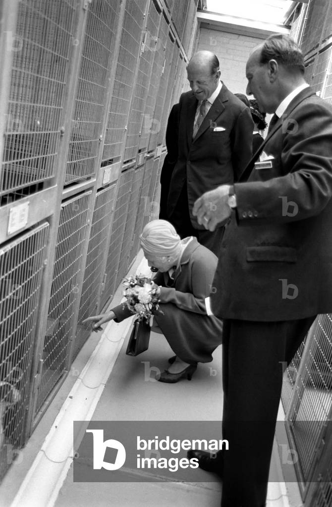 Battersea dogs home opens new wing. The Duchess of Beaufort squats down to speak to one of the puppies. June 1970