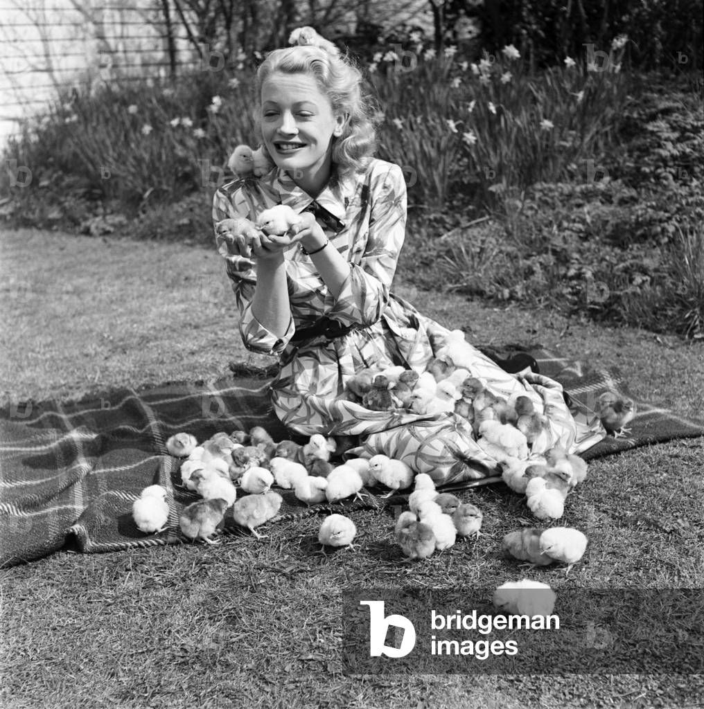 Actress Pat Dainton with Easter Chicks. April 1950 O23473