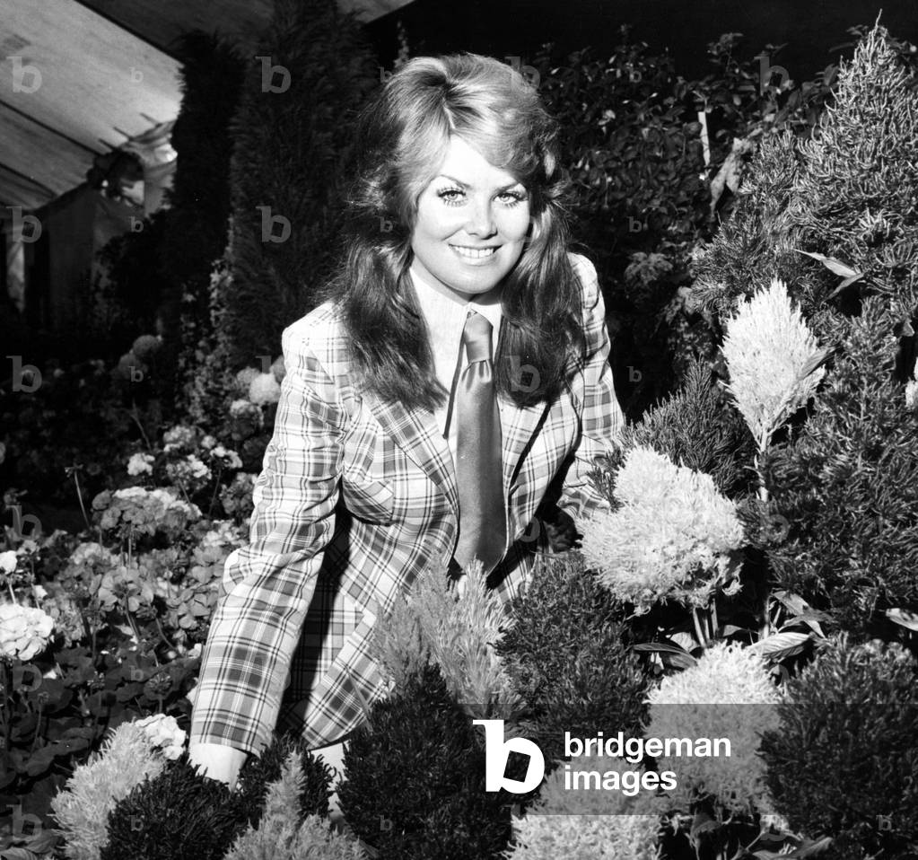 Michelle Lane (22) beauty queen & model at annual flower show in Ayr, 15th August 1972 (b/w photo)