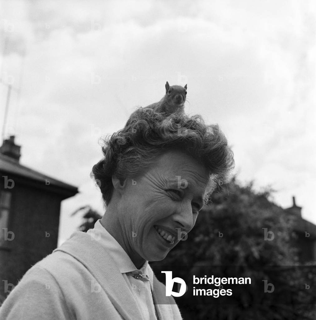 Woman with pet squirrel called John Willy on her head. June 1960 M4257-007