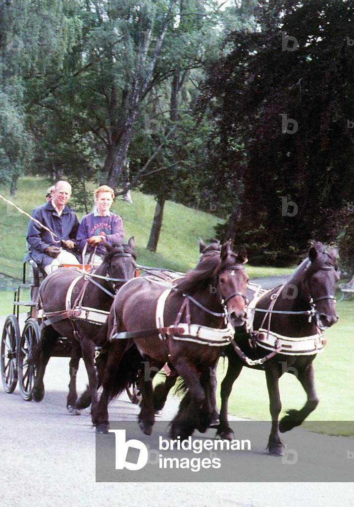 The duchess of york and the duke of edinburgh driving fell ponies at Balmoral
