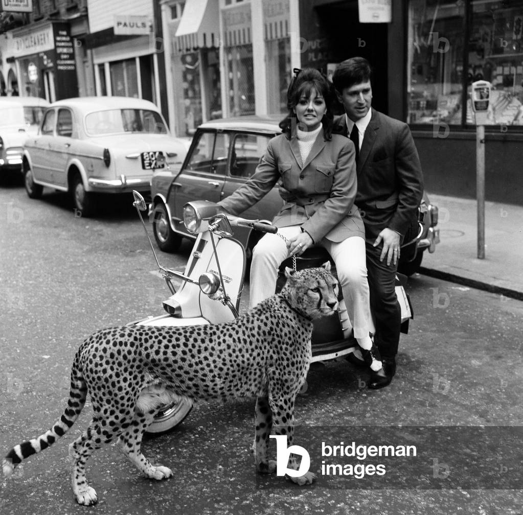 Carnaby Street, London, 4th April 1966 (b/w photo)