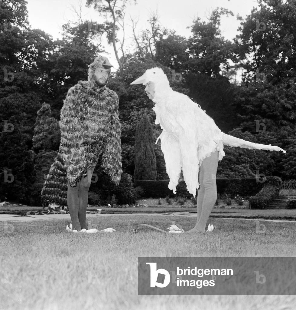 Bee Gee brothers Barry & Maurice Gibb dress up as birds for a scene in their upcoming tv show, Cucumber Castle, which they are currently filming at The Old Barn in Stanmore Middlesex 31st August 1969 (b/w photo)