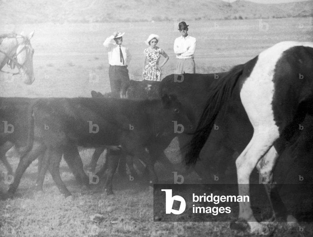 Royal Tour of Australia. The Queen and The Duke of Edinburgh watching stockmen round up cattle near Alice Springs. 18th March 1963 (b/w photo)