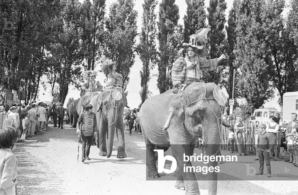 Billy Smart's Circus, once a regular sight in Hills Meadow, Reading made a dramatic spectacle when its largest participants arrived by train. Its elephant performers arrived at Reading General station in August 1970 and paraded their way up Station Hill, through Forbury Road, along Vastern Road and over Reading Bridge. Members of the public lined the streets for some free entertainment. Parade is seen here in George Street before entering Christchurch Meadows Park August 1970 (b/w photo)