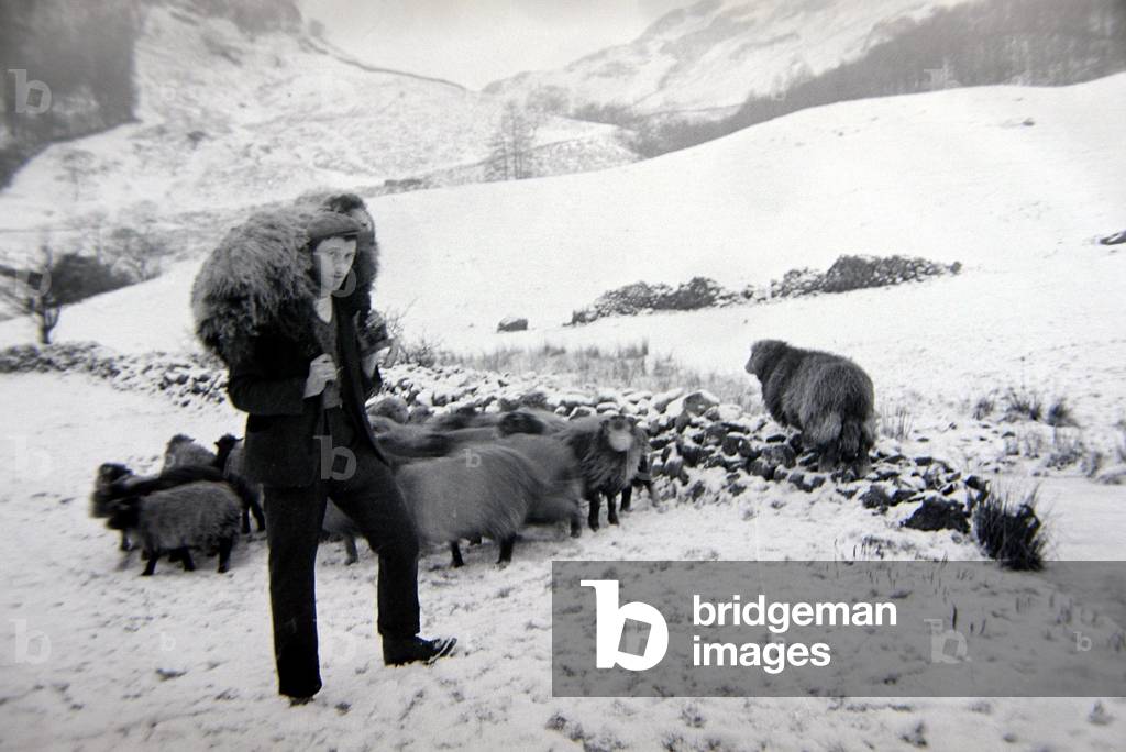 Man with sheep on snowy hills
Circa 1943