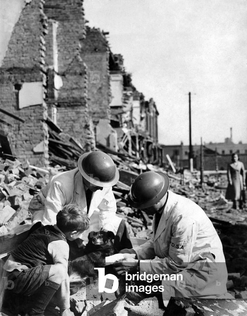 Members of a rescue squad giving treatment to a wounded dog who survived last nights air raid 23rd May 1941 (b/w photo)