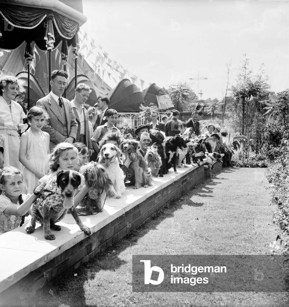 Animals: Dogs: Owners and contestants seen here talking part in The Daily Mirror Dog Show, London. July 1953