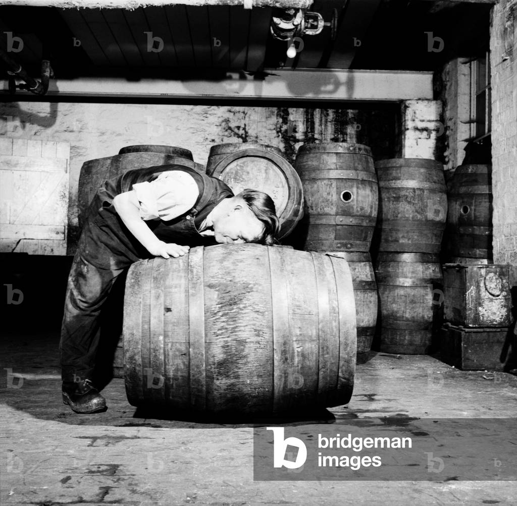 A barrel inspector at work at Hancock's Brewery in Cardiff. July 1952 C3603-002