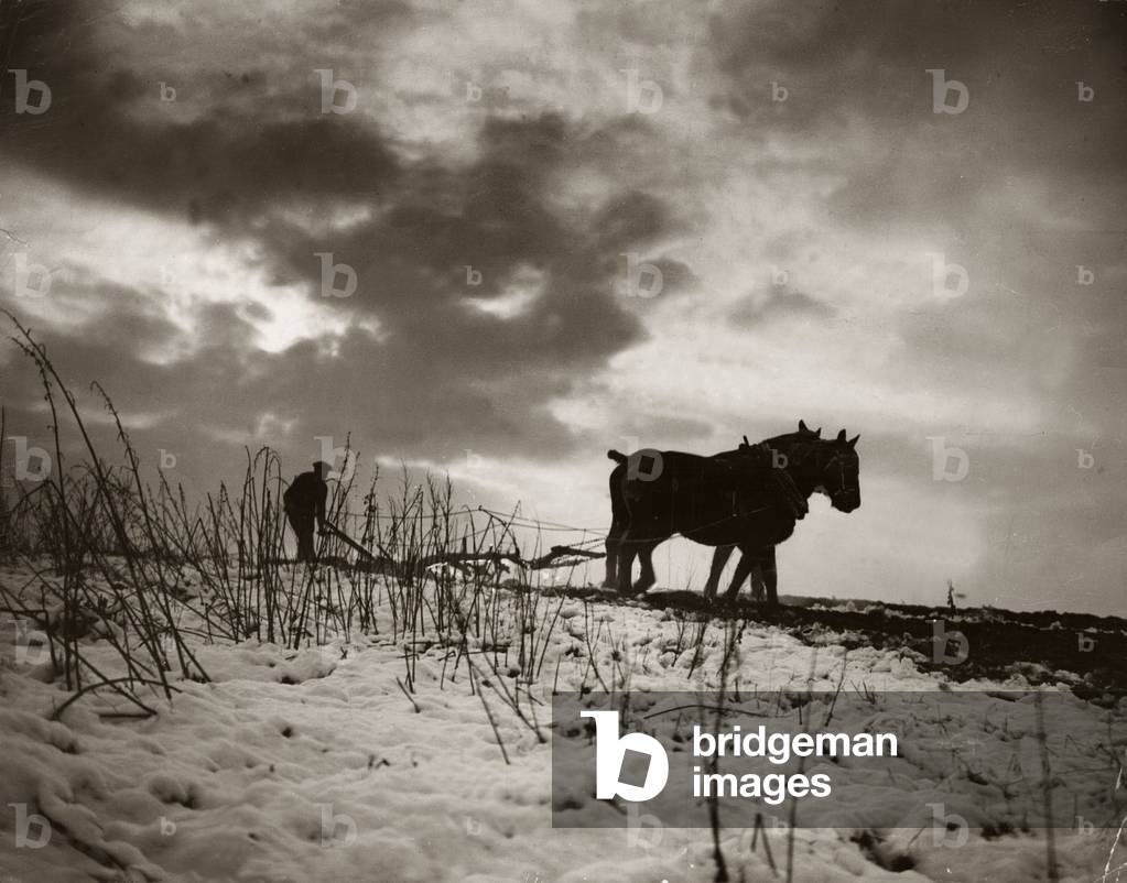 A Farmer ploughing his frozen fields in Norwich, East Anglia, England, 09/01/1935 (b/w photo)