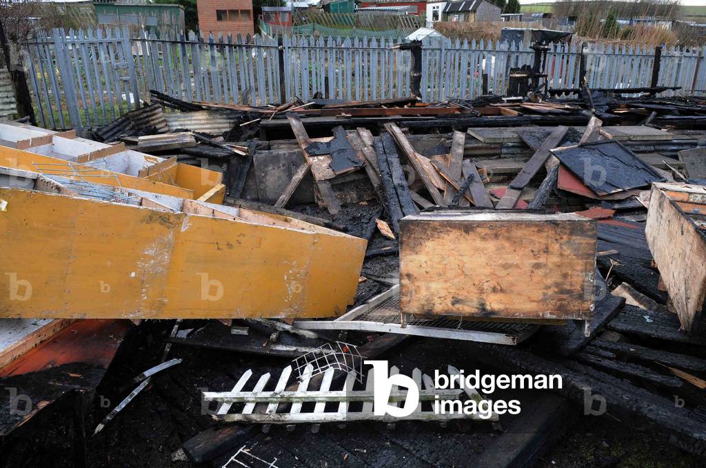 The owner of a pigeon loft has been left devastated after a blaze ripped through his allotment, Teesside. 25.01.2015 (photo)