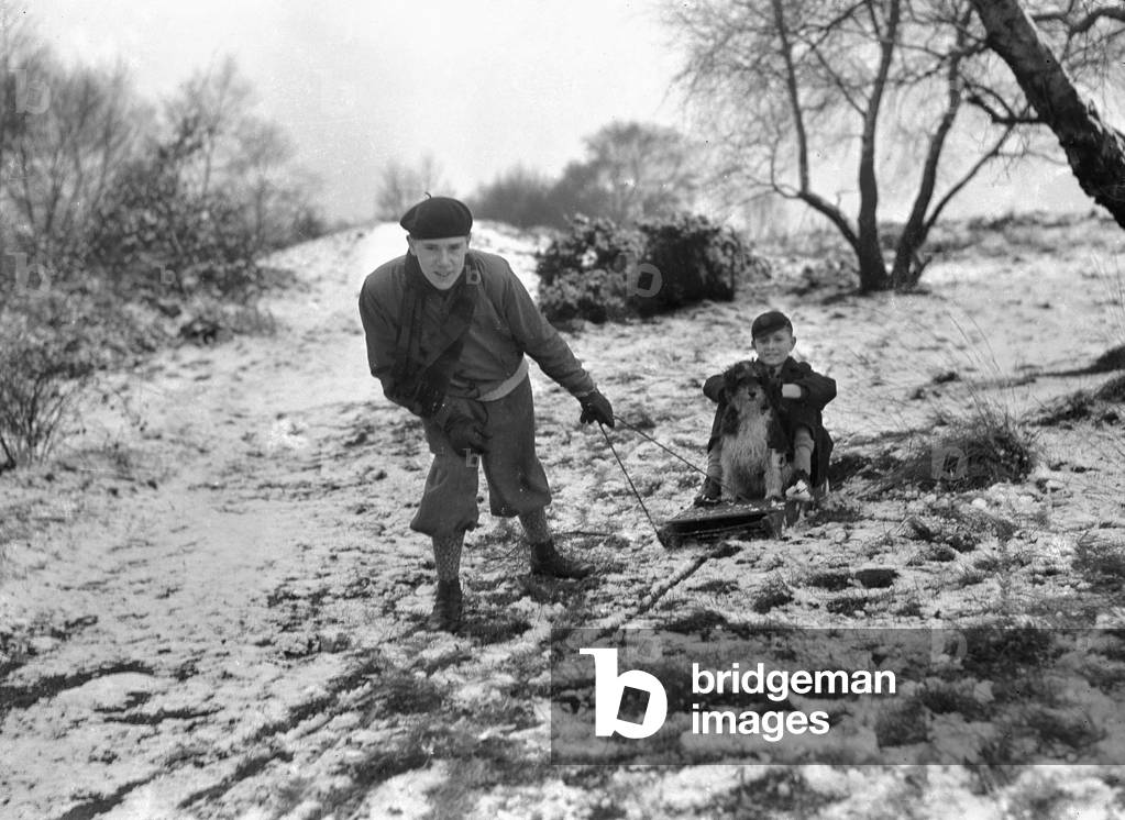 Two boys sledging with their dog.
5th January 1933