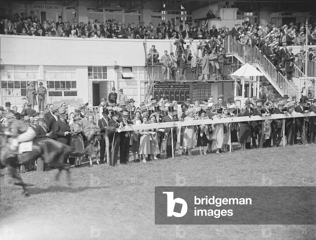 Arctic Prince, C Spares up wins the Derby from Sybil's Nephew and Signal Box, 1951 (b/w photo)
