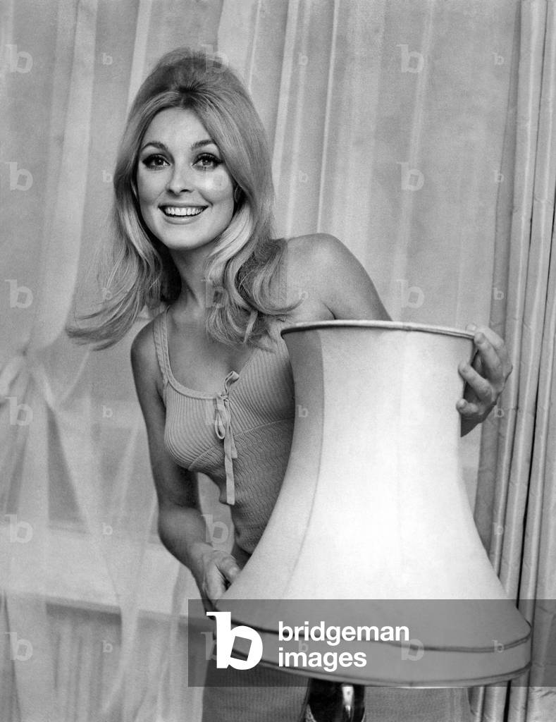 13 is not the unlucky number for 22 years old American actress Sharon Tate who has landed a part in the new MGM picture called '13'. Sharon is to co-star with David Niven and Kim Novak. 
August 1969