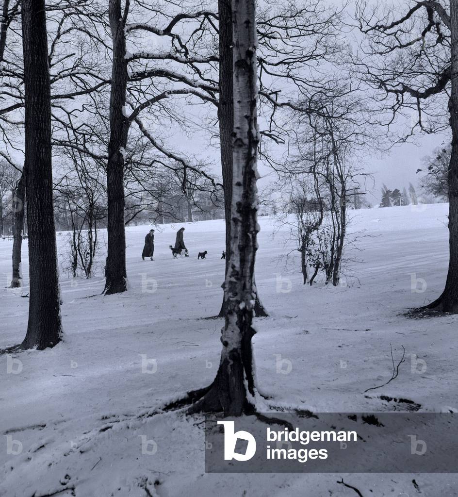 People walking their dogs amongst snow covered silver birch trees, c.1958 (b/w photo)