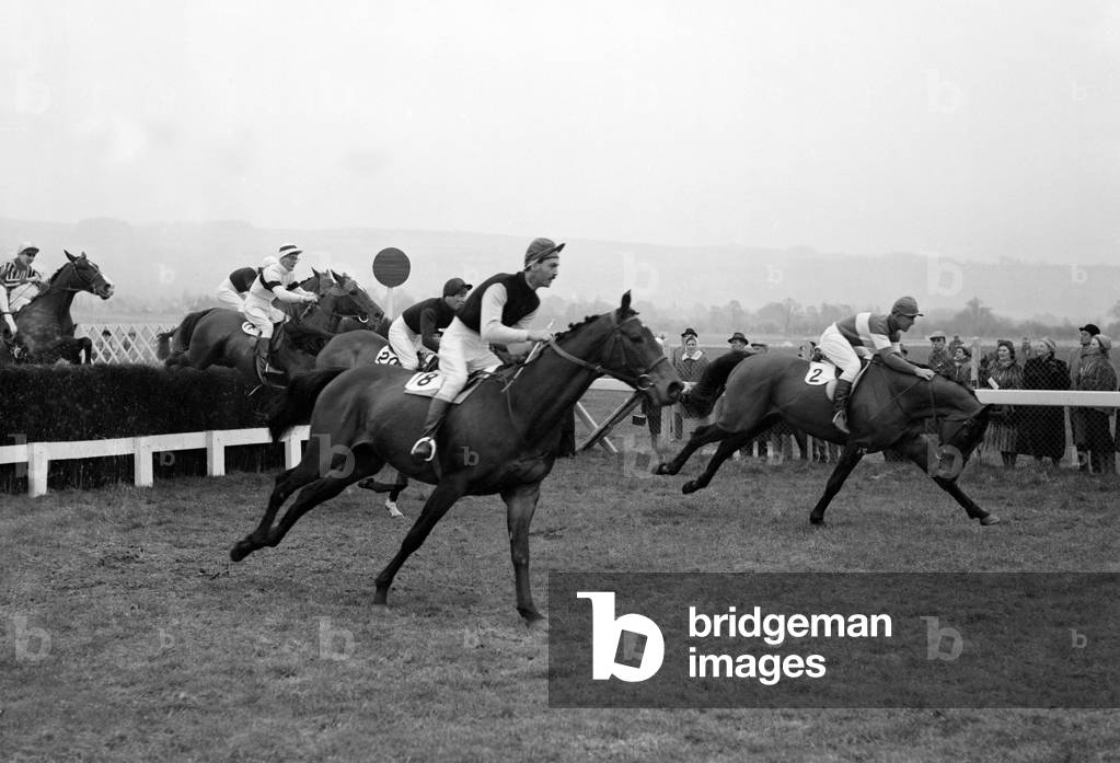 First day of the Cheltenham Festival 1960. No.8 Fallodon leads the 1st Race. 10th March 1960 (b/w photo)