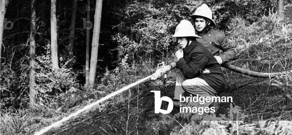 Firefighters tackle blaze forest fire at Milkwellburn Wood, Hamsterly, 1970