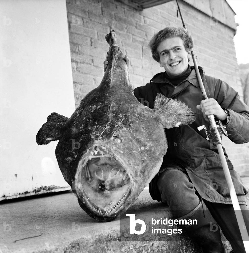 Sport: Fishing: Turkey farmer Tim Clark (22) pictured with the 58lb 50z Angler fish that he caught from the beach at Hurst Castle near Bournemouth, Hampshire, October 1969 (b/w photo)