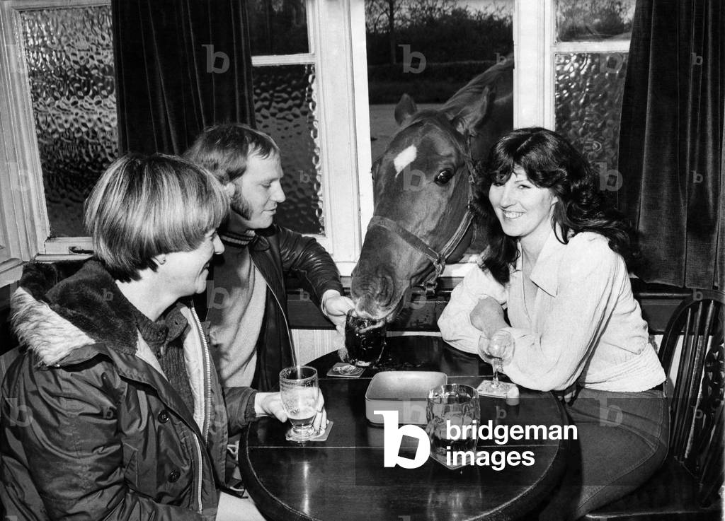 Drunken Racehorse: Queue for opening time at the pub the case is altered - among the waiting drinkers - a horse called Crumpet. Crumpet looks in through the window to steal Steve Shelton's beer, May 1977 (b/w photo)