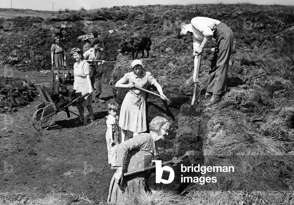 Women digging at a coal mine to gather winter fuel. August 1947